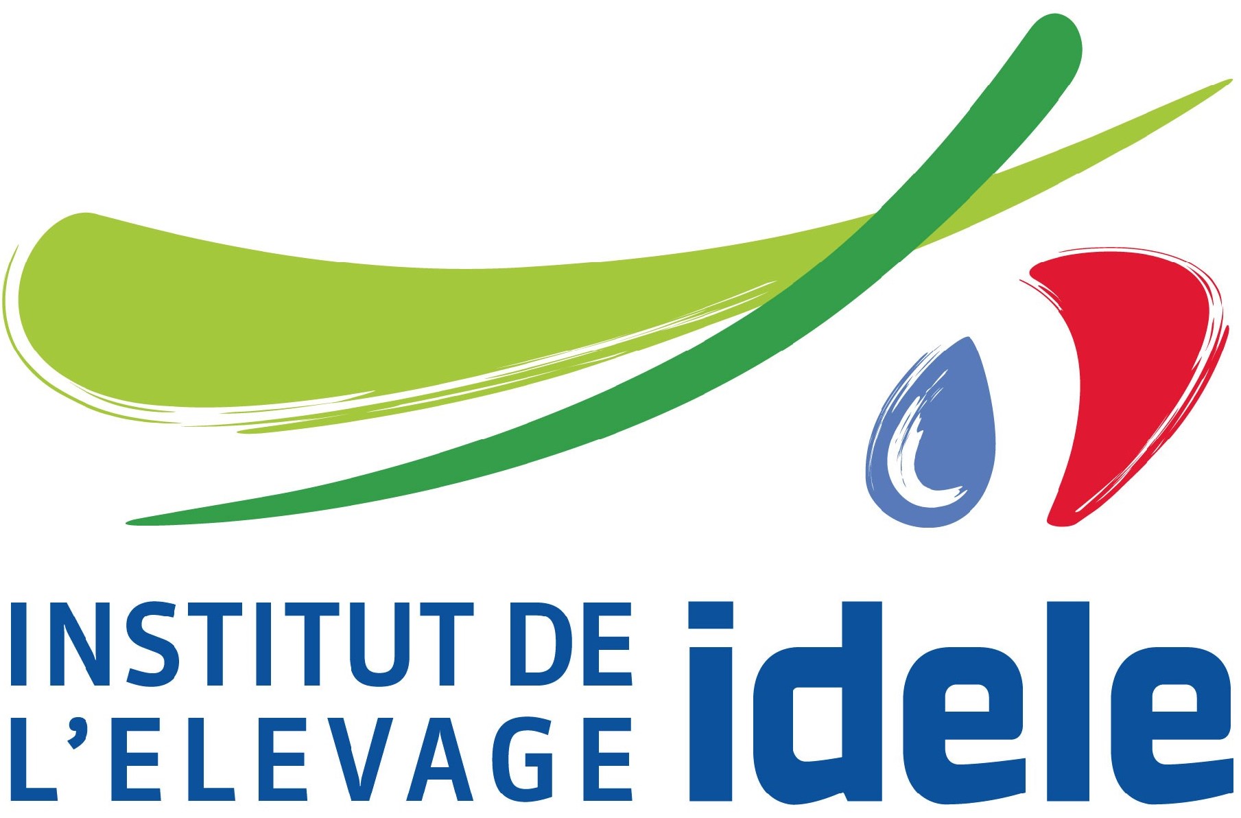 emploi Idele