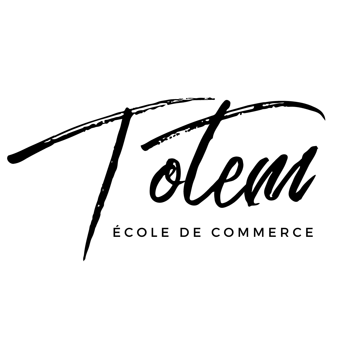 Alternance Communication & Réseaux Sociaux – BTS Communication (Web & E-réputation) H/F