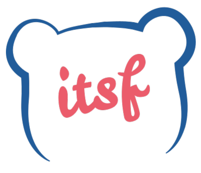 IT Solutions Factory